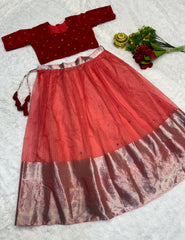 A VELVET DESIGNER OUTFIT LEHENGA FOR ALL OCCASION